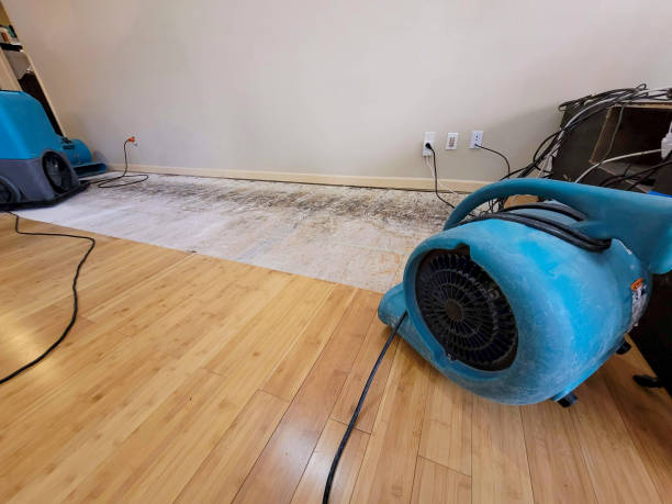 Professional Burst Pipe Water Damage technician working in Weyauwega, WI